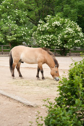 Similar image 1163857