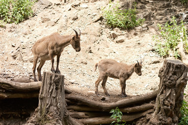 Similar image 1163859