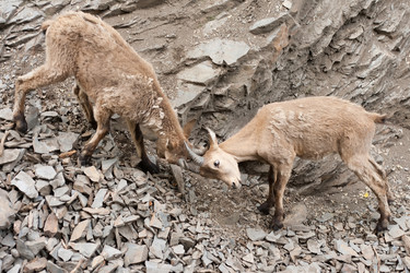 Similar image 1163860