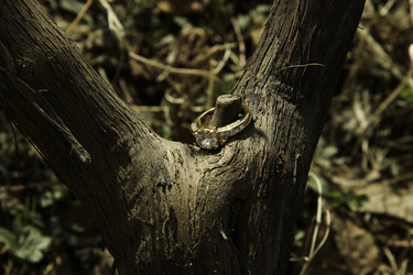 Similar image 1163861