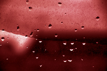 Similar image 1163863