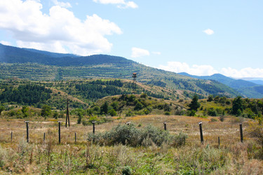 Similar image 1163887