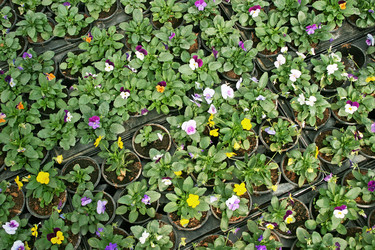 Similar image 1163929