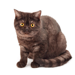 Similar image 1163970