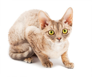 Similar image 1163981