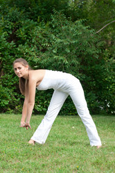 Similar image 1164027