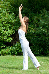 Similar image 1164043