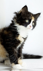 Similar image 1164084