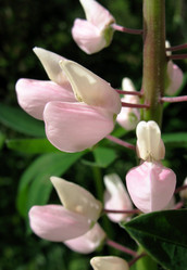 Similar image 1164090