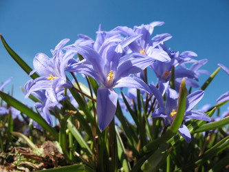 Similar image 1164091