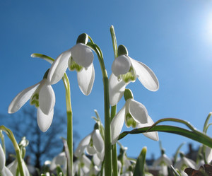 Similar image 1164092