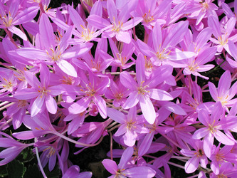 Similar image 1164094