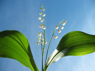 Similar image 1164096