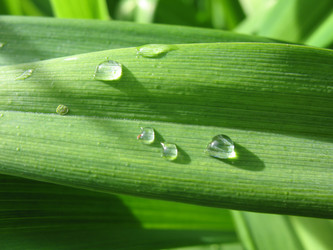 Similar image 1164098