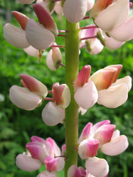 Similar image 1164099