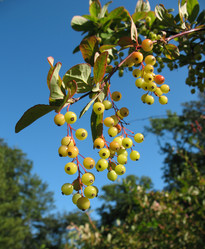 Similar image 1164111