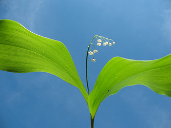 Similar image 1164113