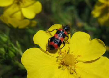 Similar image 1164116