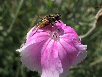 Similar image 1164121