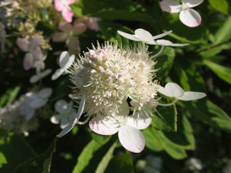 Similar image 1164122