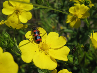 Similar image 1164124