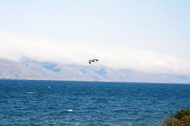 Similar image 1164146