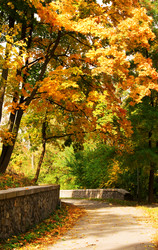 Similar image 1164217