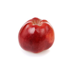 Similar image 1164320