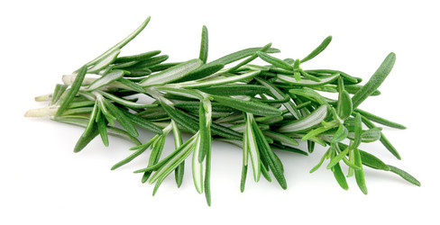 Similar image 1164354