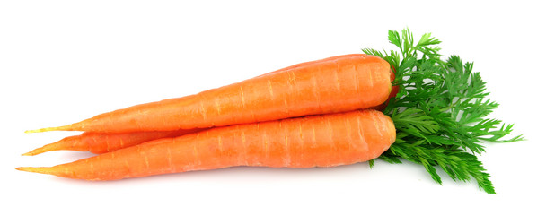 Similar image 1164356