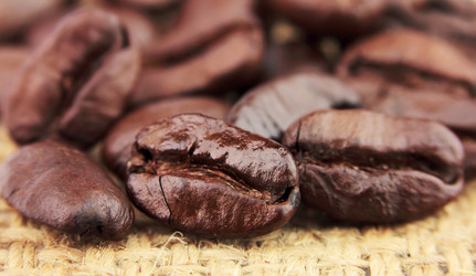 Similar image 1164358