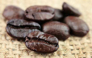 Similar image 1164359