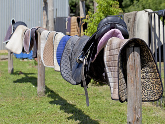 Similar image 1164363