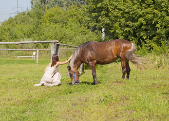 Similar image 1164374