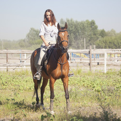 Similar image 1164378