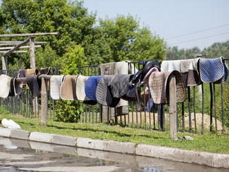 Similar image 1164383