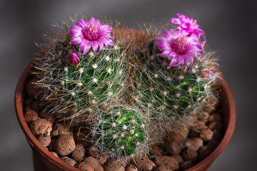 Similar image 1164489