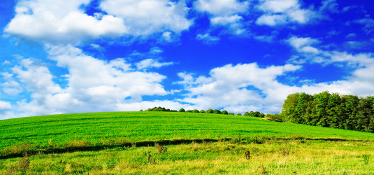 Similar image 1164505