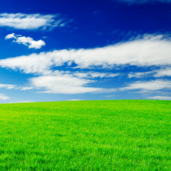 Similar image 1164512