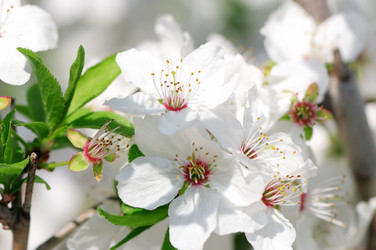 Similar image 1164526