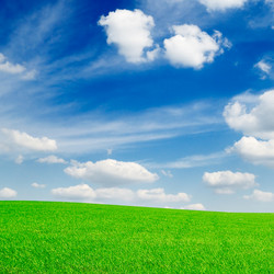 Similar image 1164552