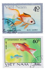 Similar image 1164574