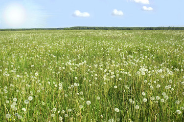 Similar image 1164757