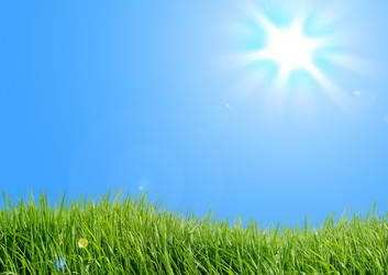 Similar image 1164770