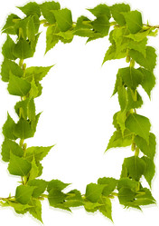 Similar image 1164772