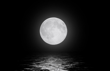 Similar image 1164780