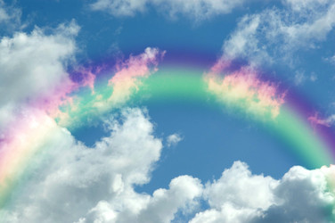 Similar image 1164811