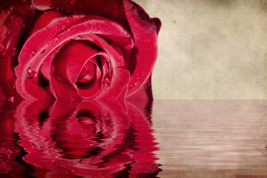 Similar image 1164856