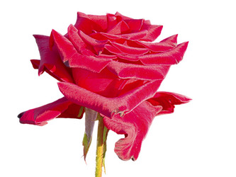 Similar image 1164857