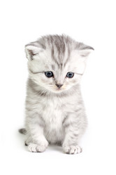 Similar image 1164909